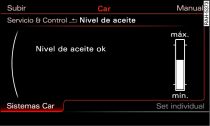 Pantalla: Nivel de aceite